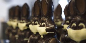 Belgium chocolate easter bunnies with masks