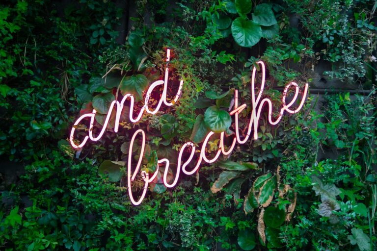 and breath neon sign in hedge